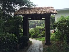 -巢湖姥山岛