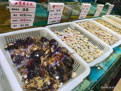 -宝燕壹号(徐汇店)