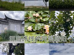 -大理洱海