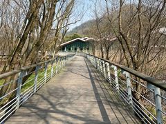 -西湖风景区-江洋畈生态公园