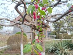 -元大都城垣遗址公园