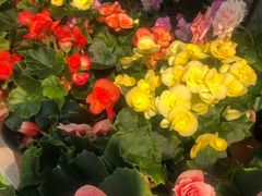 -白塘生态植物园