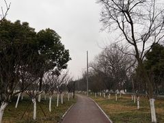 -钱塘江