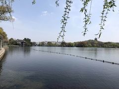 -西湖外事游船(花港观鱼码头)