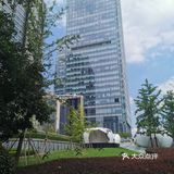 上海攻略|华丽丽的出游