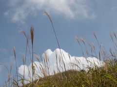 -萍乡武功山风景名胜区
