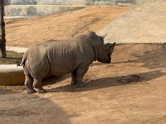 -西霞口神雕山野生动物世界