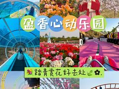 -盈香心动乐园