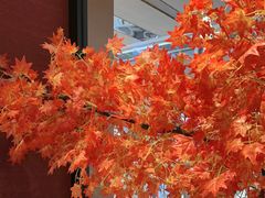 -老湘亲·品鉴湘菜(蔡塘爱琴海店)