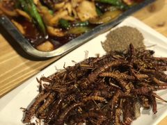 -川天喉重庆江湖菜