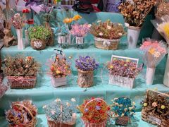 -大自然花鸟鱼虫市场