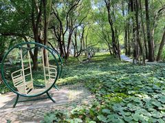 -东湖落雁景区