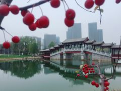 -西海子公园