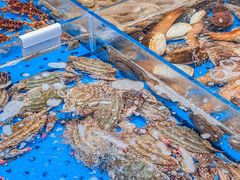 -大连湾旭日·家宴·海肠捞饭(马栏广场店)