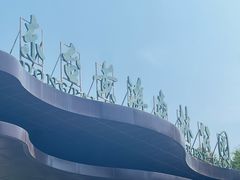 -黄海国家森林公园