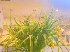 -拿渡麻辣香锅(世茂广场·工三店)