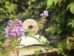 -斯多格书乡(北京大学畅春园店)