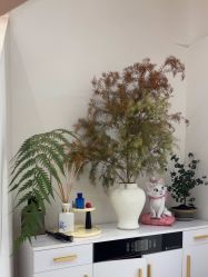 -WENDY·温迪皮肤管理