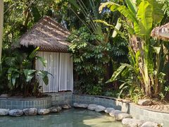 -碧桂园润杨溪谷温泉酒店