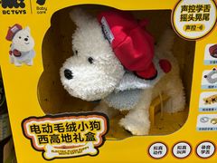 -山姆会员商店(亦庄创意生活广场店)
