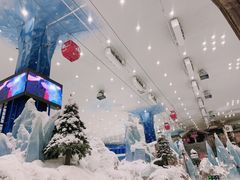 -长沙湘江冰雪世界