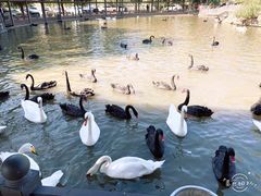 -新疆天山野生动物园