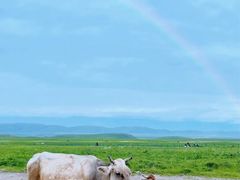 -新疆那拉提国家旅游度假区
