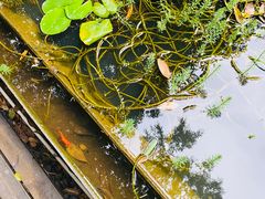 -箱美术馆私房菜(水晶郦城店)