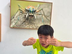 -上海昆虫博物馆