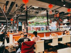 -猫爪爪原切自助烤肉(观音桥阳光世纪店)