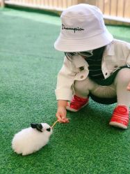 -萌宠亲子动物乐园(槐房万达店)