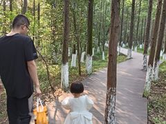 -艾溪湖湿地公园