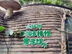 -普洱太阳河森林公园
