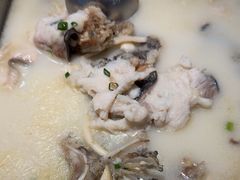 -洞庭家宴·头牌甲鱼(广渠门店)