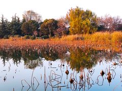 -云龙湖旅游景区