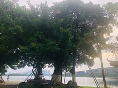 -松山湖南湖湾露营营地