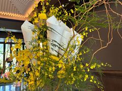-云溪植物园