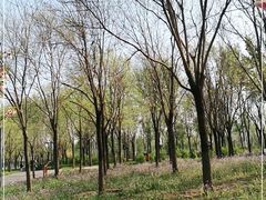 -东郊湿地公园