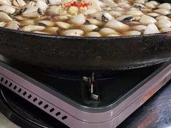 -顺德哥卜卜贝(旗舰店)