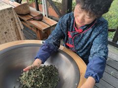 -天目湖山水园