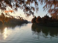 -合肥滨湖国家森林公园