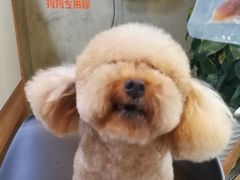 -八公叔叔宠物美容连锁(春申店)