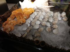 -威珀斯酒店·珀萃美食餐厅 | 海鲜刺身·现烤生蚝·特色烤肉