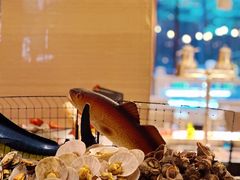 -常州富力喜来登酒店 Feast盛宴标帜西餐厅(新北万达广场店)