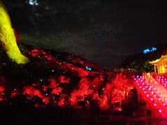 -印象普陀