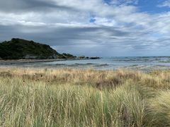 -Kaikoura Seafood BBQ Kiosk