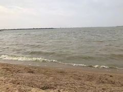 -瑶湖郊野森林公园