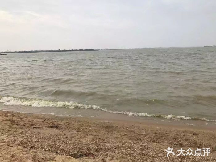 瑶湖郊野森林公园图片