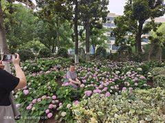 -常州古运河南大街文化旅游区-人民公园