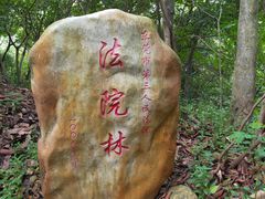 -大屏嶂森林公园